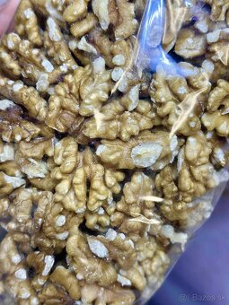 Orechy vlašské tohtoročné - 6