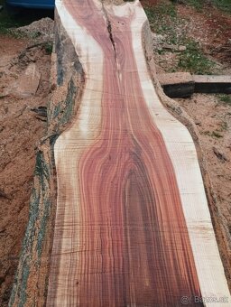 Brastové forsty - 6