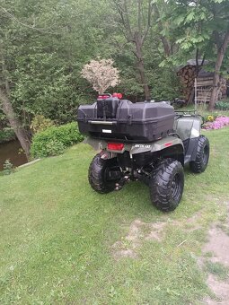 Arctic cat - 6