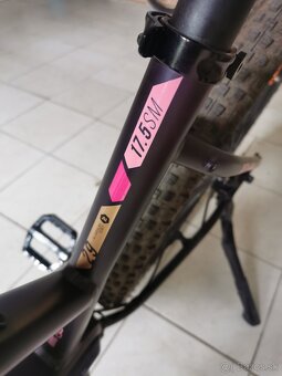 Dema Omega ebike women - 6