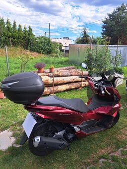 HONDA PCX 125 - 6