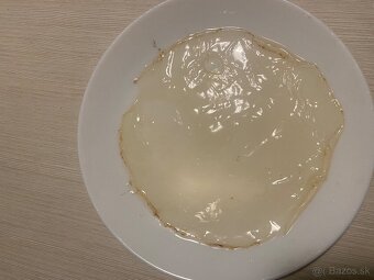 Kombucha / scoby - 6
