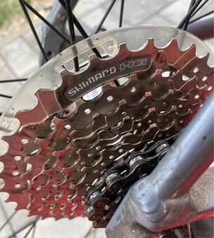 SCOTT P5 Sportster Lady - 6