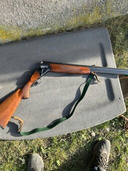 Gulobrok - 6