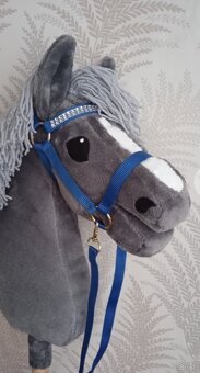 Hobby horse - 6