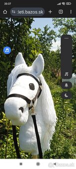 Hobby horse - 6