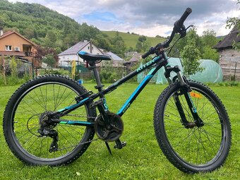 Kellys Kitter 50 - 6