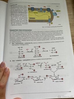 Maturita Chémia - 6