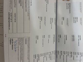 Zangersheide kobyla - 6