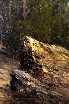 Horské jazero II, K.Schmidbauer, 770 × 680 mm - 6