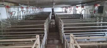 Priestor pre VAŠU firmu, výrobu, dieľňu  - 6