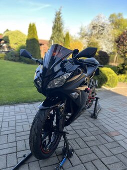 Kawasaki Ninja - 6