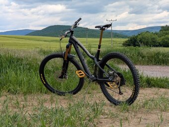 DARTMOOR Hornet Pro - 6