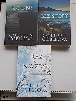 Detektívky -Gabaldon,Collins,Hooper,Reichs,Palov,Fern a iný - 6