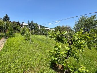 Krásny 6-izb.RD Zobor, 980 m2 pozemok, 240 m2 dom - 6