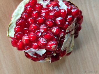Gránátové jablko- Ovocie, nie rastlinka - 6
