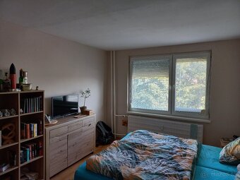 Prenajom 2 izboveho bytu, Nove Zamky Komarnanska - 6