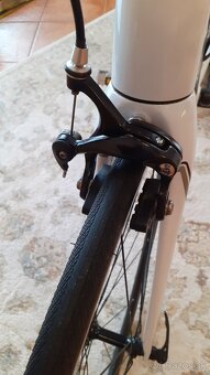MERIDA. - 6