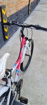 Bicykel Ctm 24" willy pink dievcensky ruzovy - 6