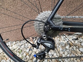 Predam Merida scultura 5500 - 6