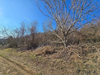 Pozemok na predaj vo viniciach. Výhradne u nás. - 6
