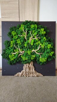 Machový obraz v rôznych rozmeroch - 6