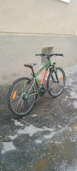 Ctm terrano 1.0 - 6