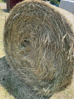 Okruhle baliky -seno - 6