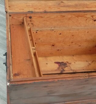 Truhlica starožitná. - 6