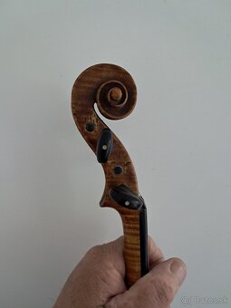 L.Prokop - 6