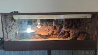 terarium - 6
