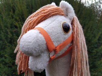 Hobby horse - 6