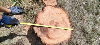 Čerešnové, hruškové a dubové drevo - 6