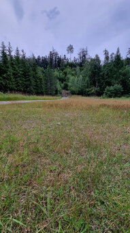 Predaj pozemkov nad Turzovskými kúpeľmi, okres Gelnica - 6