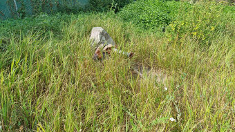 STAVEBNÝ POZEMOK 966 m2 KRAKOVANY + UPI - KÚPOU VOĽNÝ - 6