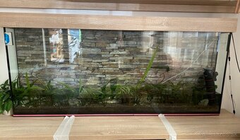 Predám akvárium - 6