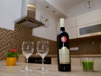 1 izb. NOVOSTAVBA s garážovým státím a s výnimočným výhľadom - 6