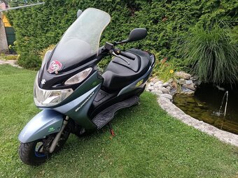 Suzuki burgman 125 - 6
