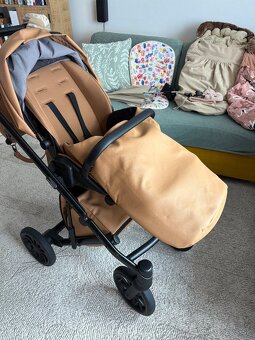 Krásny kočik Anex ETYPE Caramel - 6