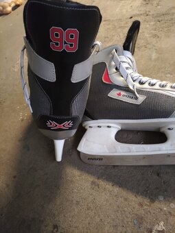 Brusle Ontario 43 - 6