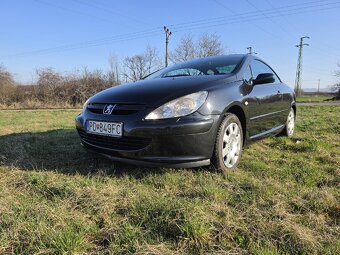Predam Peugeot 307 Cabrio automat - 6