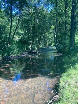 Pozemok na chov akýchkoľvek zvierat 🐴🐑🐐🌿 - 6