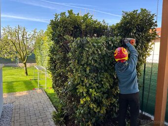 Arboristika - záhrada - dom - 6