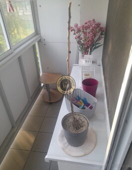 Cenovo výhodná Garsónka na prenájom - 6