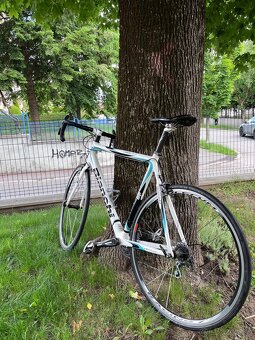 Bianchi Via Nirone 7 - 6