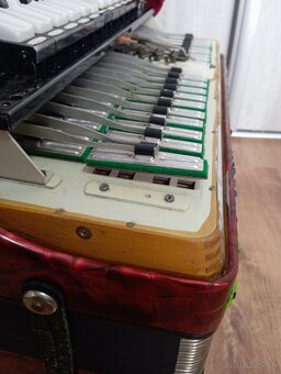 Delícia Carmen XIV.4hlas-hohner hlásky - 6