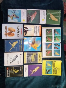 Predám knihy o kanárikoch - 6