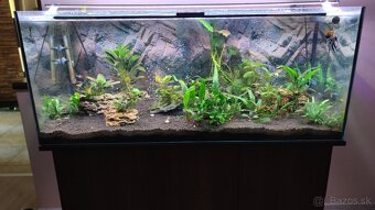 Akvarium 300L + skrinka + prislusenstvo - 6