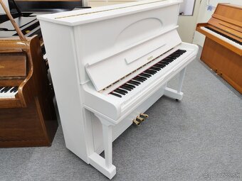Hohner Jedinečná kvalita dovoz celá SR - 6