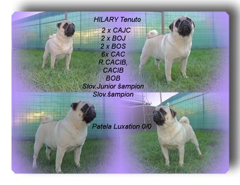 MOPS s PP. - 6